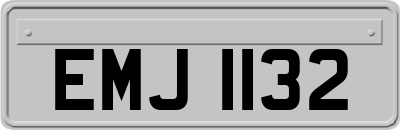 EMJ1132