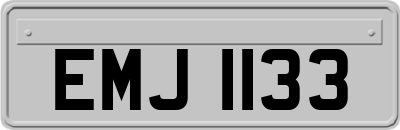 EMJ1133