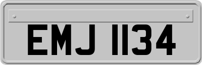 EMJ1134