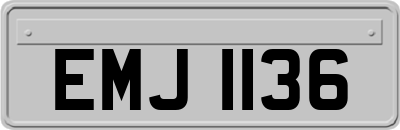 EMJ1136