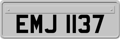 EMJ1137