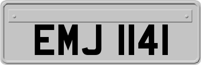EMJ1141