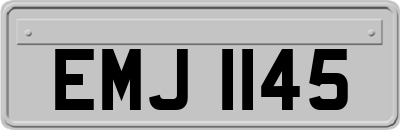 EMJ1145