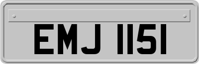EMJ1151