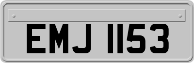 EMJ1153