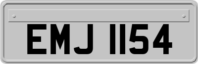 EMJ1154