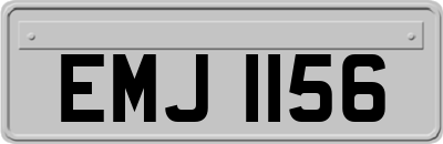 EMJ1156