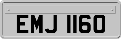 EMJ1160