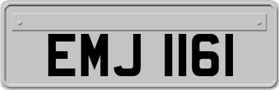 EMJ1161