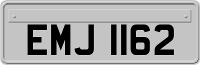 EMJ1162