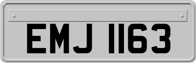 EMJ1163