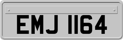 EMJ1164