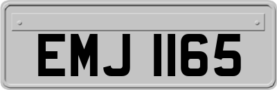 EMJ1165