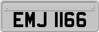 EMJ1166