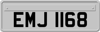 EMJ1168