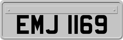 EMJ1169