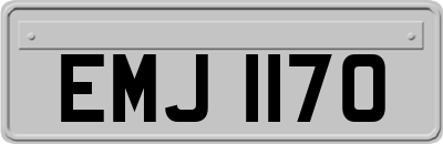 EMJ1170