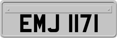 EMJ1171