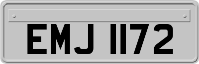 EMJ1172