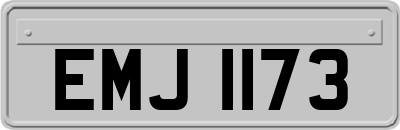 EMJ1173