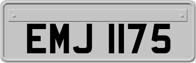 EMJ1175