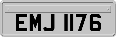 EMJ1176