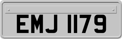 EMJ1179