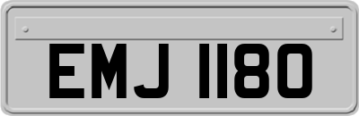EMJ1180