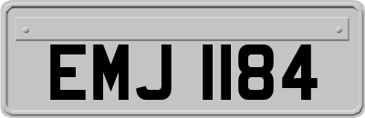EMJ1184