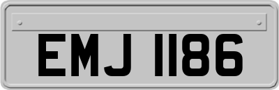 EMJ1186