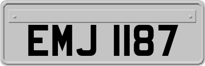 EMJ1187