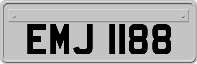 EMJ1188