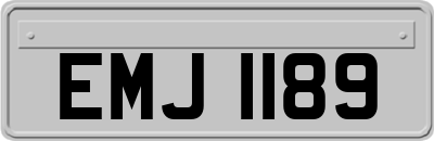 EMJ1189