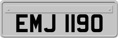EMJ1190