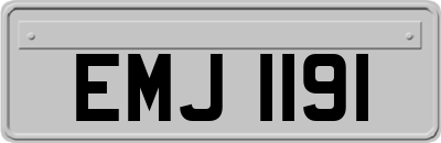 EMJ1191