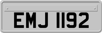 EMJ1192