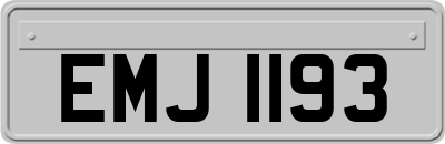 EMJ1193