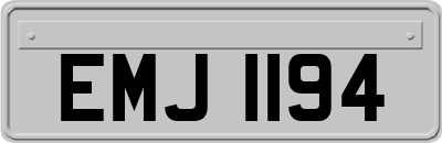 EMJ1194