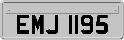 EMJ1195