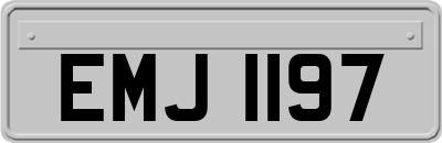 EMJ1197
