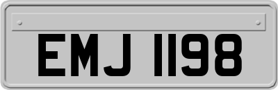 EMJ1198