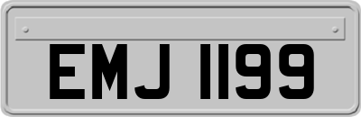 EMJ1199