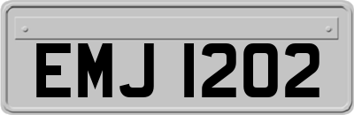 EMJ1202