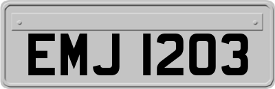 EMJ1203
