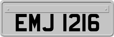 EMJ1216