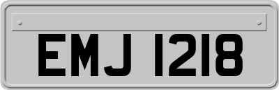 EMJ1218