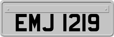 EMJ1219