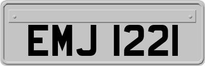 EMJ1221