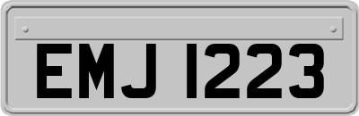 EMJ1223