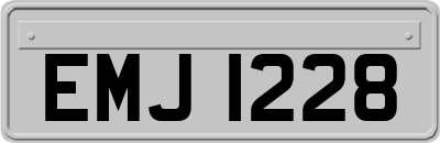 EMJ1228